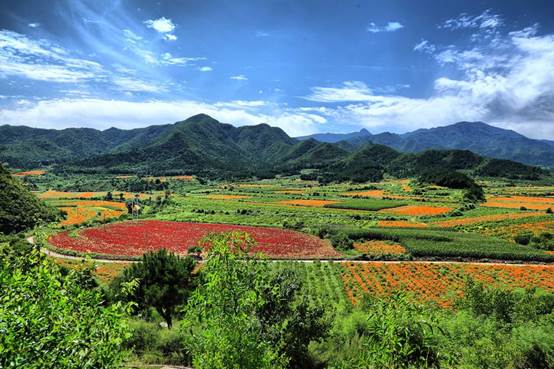 说明: https://timgsa.baidu.com/timg?image&quality=80&size=b9999_10000&sec=1493878676063&di=02f641111f4bbbb7db098c3230525592&imgtype=0&src=http%3A%2F%2Fimg1.ph.126.net%2FeBBxAGOaPT2xcZpT6VK5uA%3D%3D%2F3277494628919167009.jpg